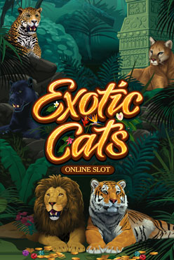 Exotic Cats