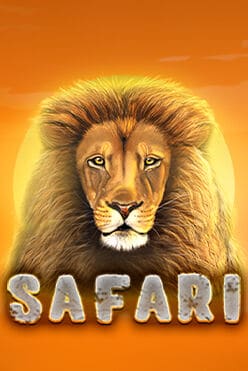 Safari