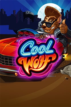 Cool Wolf